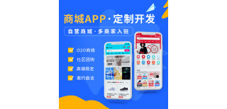 直播商城软件APP开发定制物联网管理系统小程序做app手机制作外卖