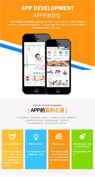 双人PK夺宝半价商城微信平台搭建网站建设app开发系统源码