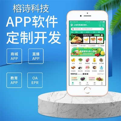 APP系统开发 上海APP定制开发开发周期短